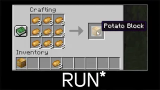 Minecraft wait what meme part 296