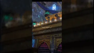 اللهم ارزقنا شفاعه الحسين ع يوم الورود ♥️