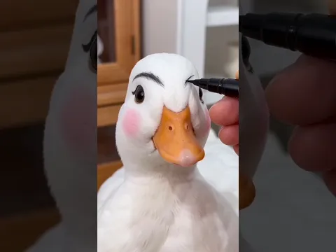 Things Call Ducks Won’t Tell You 🦆🤫 (Part 2)