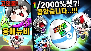 응애뉴비가 1/2000확률 시크릿 펫 뽑으면 반응은? 고인물 빅민 리얼반응ㅋㅋㅋㅋ [마이닝 시뮬레이터2] (로블록스)