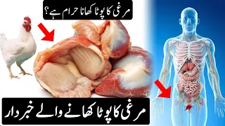 Murgi Ka Pota Khane Wale Zaroor Dekhe | Pota khana haram hai ya halal | Pyaara Islam