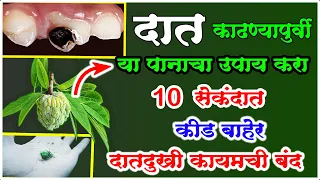 दातातील कीड सेकंदात बाहेर फेका,दातदुखी कायमची बंद,दात काढण्याआधी करा हा साधा उपाय 1 पैसाभी खर्च नाही