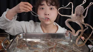 귀한 꽃낙지라고 들어봤슈~?small octopus🐙Mukbang