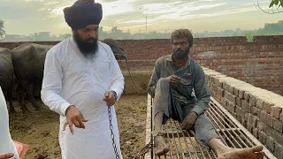 25-30 ਮੱਝਾਂ ਦਾ ਗੋਹਾ ਕੁੜਾ ਚੁਕਾਉਣ ਲਈ ਬੰਦੇ ਨੂੰ 15 ਸਾਲ ਤੋਂ ਗੁਲਾਮ ਬਣਾ ਸੰਗਲ ਨਾਲ ਬੰਨ ਕੇ ਰੱਖਦਾ ਸੀ ਇਹ ਬਜੁਰਗ…