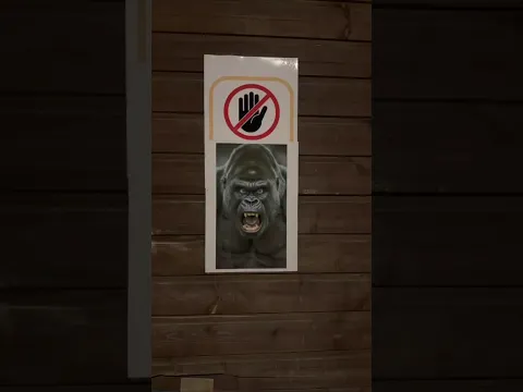 akibat mengabaikan peringatan‼️😱#shortvideo