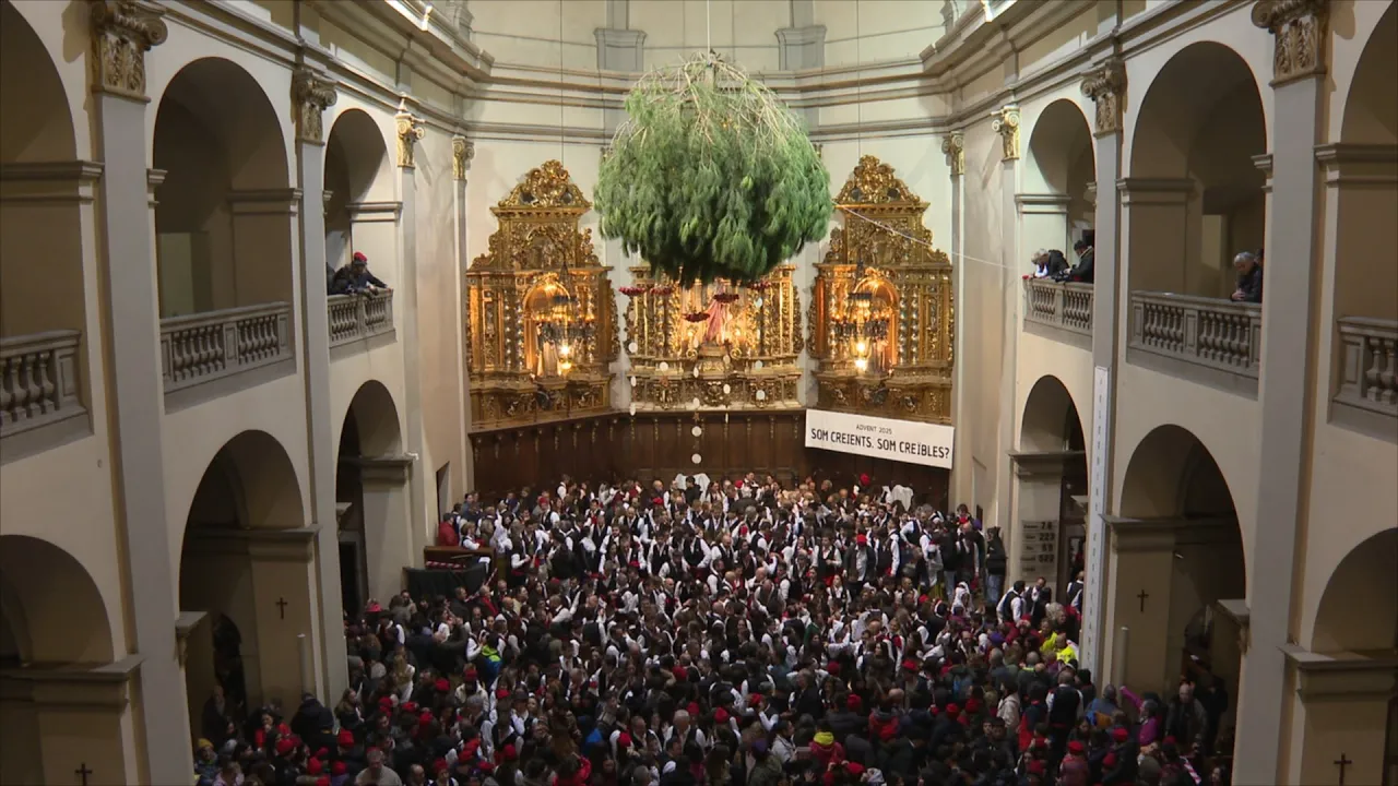 Centelles viu una nova edició de la Festa del Pi en honor a Santa Coloma