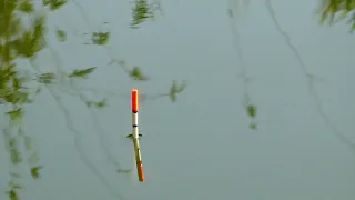 Best Fishing Video Big catch in Sonarpara Area