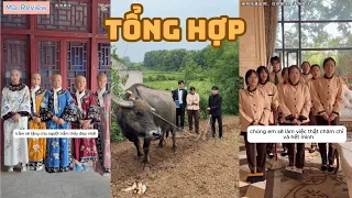 Tiểu Hý Làm Osin Cho Nhà Giàu -Siêu Hài| Osin Như Bà Nội| Mai Review