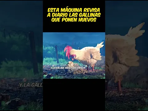 😱Esta máquina revisa a diario las gallinas que ponen huevos #viral #pelis #resumen