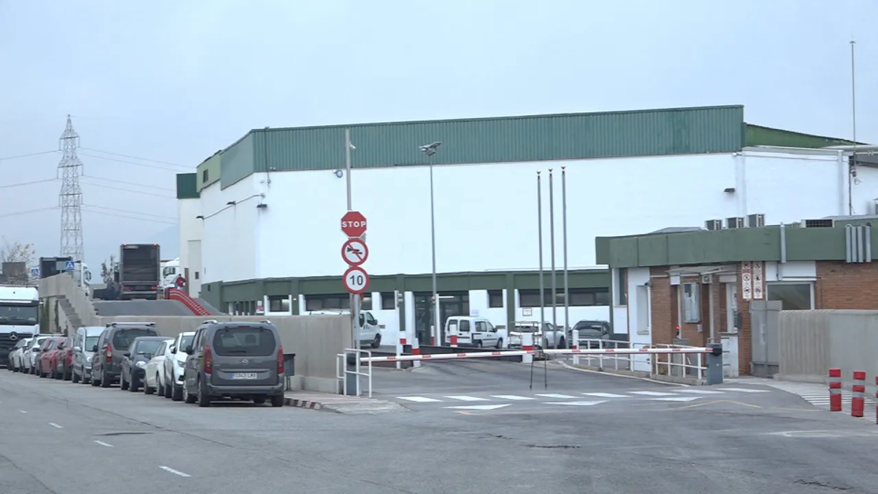 CCOO reclama mesures similars a les de la Covid per als treballadors acomiadats per la pesta porcina