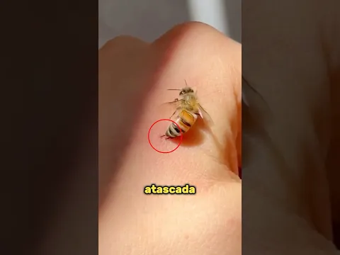 No la quites de tu mano