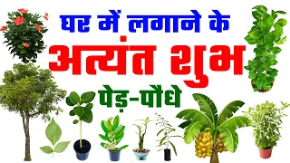 घर में लगाने के अत्यंत शुभ पेड़-पौधे | Vastu Plants for Home in Hindi