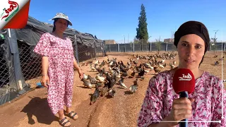 دفعتها "كورنا" إلى تطوير مشروعها.. معلمة بسيدي بنور تحكي عن تجربتها مع تربية سلالات متنوعة من الدجاج