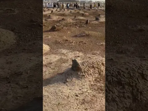 اللهم اجرنا من النار