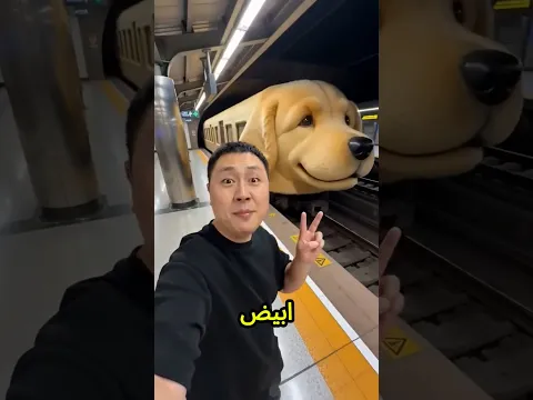 ينهار يا بابا! أنا لقيت قطر الكلاب جاي ورايا😱🐶🚨
