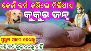କେଉଁ କର୍ମ କରିଲେ ମିଳିଥାଏ କୁକୁର ଜନ୍ମ | ପୁରୁଷ ମନେ ନିଶ୍ଚୟ ଦେଖନ୍ତୁ  | kahaku milithaye kukura janma
