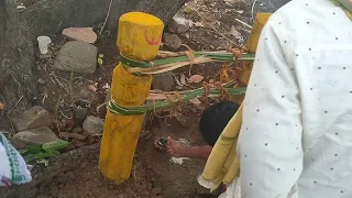 ପ ଣ୍ଡ ରା ପ ଲା ଟୋକି ପର୍ବ ର ଆଜି ପରପ
