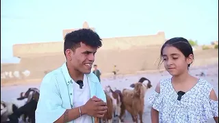 قصه نرجوسه وكنو والتوم) لايك وشتراك فضل ولايس امر