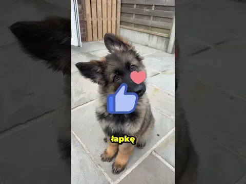 Dziadek ostrzegał go, żeby tego nie robił… 😳