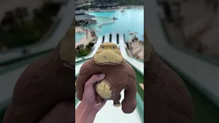 Monkey See, Monkey DO: Waterpark Challenge