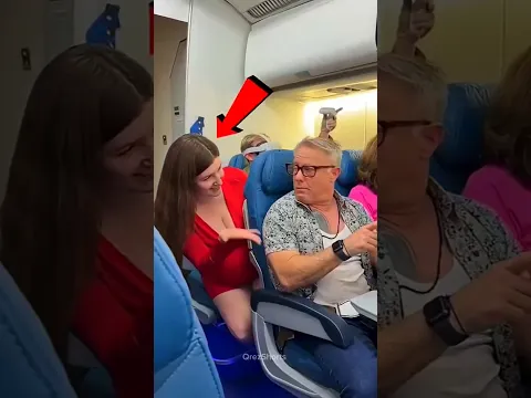 Segredo chocante no avião 😱✈️ #Catsoftiktok #CatLovers #cat #cute #FunnyCats #catcartoon #fyp