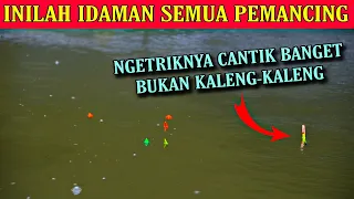 Umpan Mancing Ikan Mas Terbaik Diindonesia Masuk Untuk Segala Kondisi