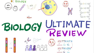 The Ultimate Biology Review - Last Night Review - Biology in 1 hour!