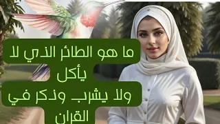 ما هو الطائر الذي لا يأكل ولا يشرب وذكر في القرآن |  فتون الشنديدي