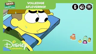 Big City Greens | Zwemgek | Volledige Aflevering | Disney Channel België-Nederland