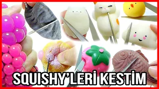 SUKUŞİ KESTİM İÇİNE BAKTIM İÇİNDEN ÇIKAN SUYU İNCELEDİM Dobişko Tv