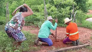 Seu mane e seu Antonio brigam por tudo