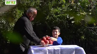 "Araz"da Nar festivalı