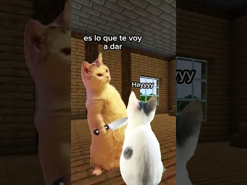 La abuela al rescate 😎 #memecats #gatoslindos