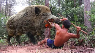 El poder del Jabalí Un Animal De Ataques Brutales