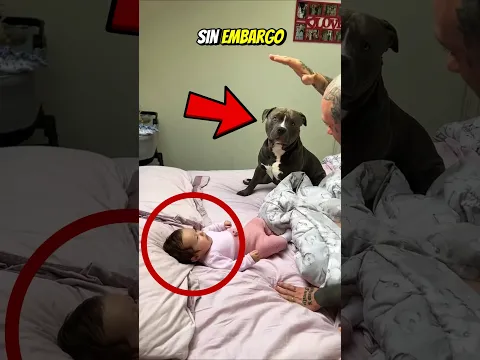 #babifreitas