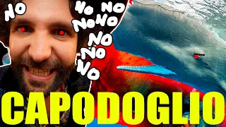 Quello che NON volevi sapere sul CAPODOGLIO - SCIENZA BRUTTA