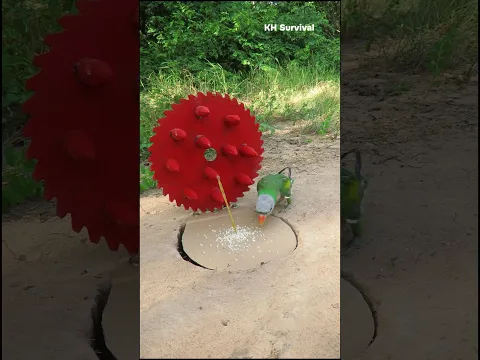Survival Skills: SMART idea and USEFUL with parrot trap #outdoors #parrottrap #parrot