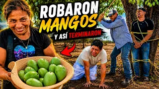 ROBAMOS MANGOS  Y ASI TERMINAMOS...