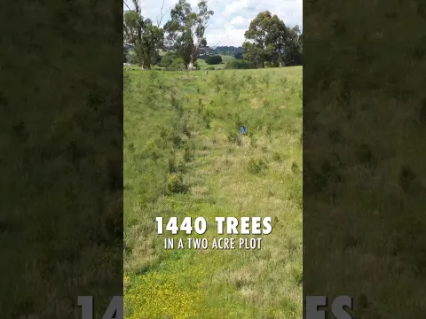Planting 1440 trees in 24 hours