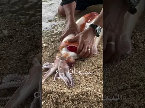 اكبس على الاشترك 🎬 جزاكم الله خيرا 🤍🤍 وضع 👍🏻 👍🏻