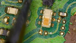 HDMI Microscope Camera Test from Aliexpress 1080p/60fps