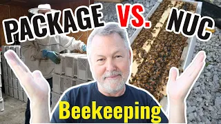 Beekeeping-Which Is Better And Faster, A Nuc or a 3 Pound Package of Bees?