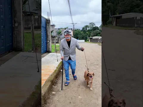 ADOPTÉ A UN PERRITO 🐶🦮
