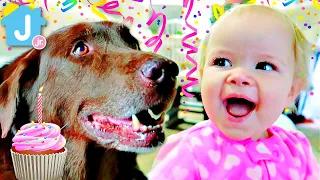🐶1st Birthday Dog Surprise🎂