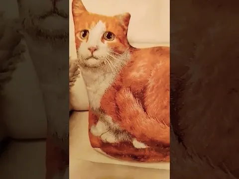 Стой, не пролистывай!🤣