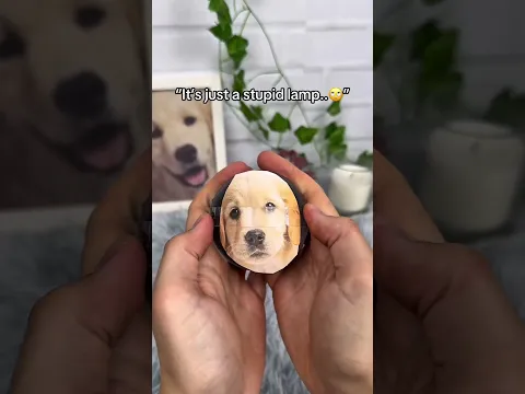So cute 😩❤️ #dogsoftiktok #dogs #pets #giftsideas #dogloss