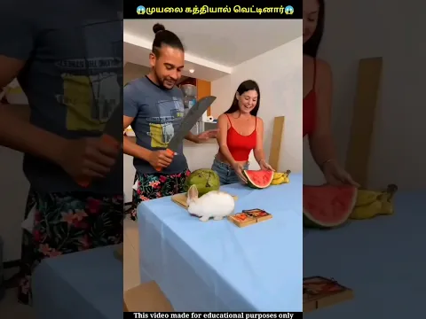 முயலை கத்தியால் வெட்டினார் 😱 wood working art skill / hand craft ideas #shorts #ytshorts