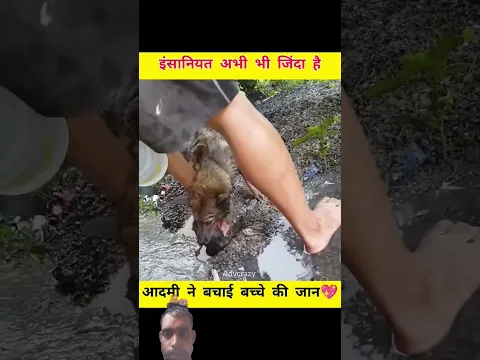 #pets #share #viral 🔥