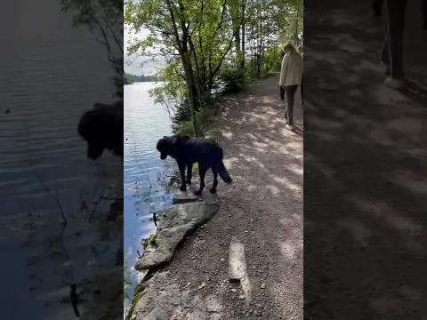 #Shorts, We’ll see if he’ll jump out!