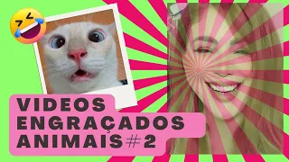 VIDEOS ENGRAÇADOS COM ANIMAIS FOFOS, PARTE-2